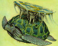 wielki atuin