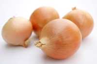 cebula